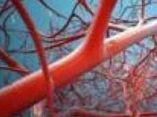 دانشمندان ایرانی رگ مصنوعی ساختند دانشمندان ایرانی رگ مصنوعی ساختند