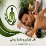 پاورپوینت طب فشاری و ماساژ درمانی 41 اسلاید