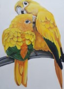 تابلو نقاشی رنگ روغن طوطی زرد با سبک رئال