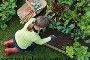 همسر شما هم عاشق باغبانی است؟