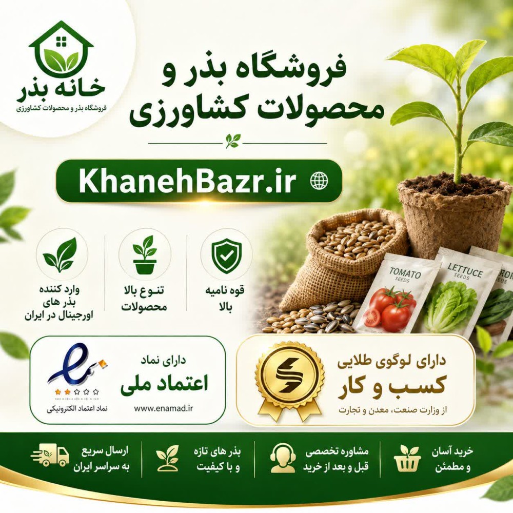 خرید بذر با تنوع بالا و کیفیت باورنکردنی