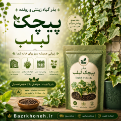 بذر پیچک لبلب