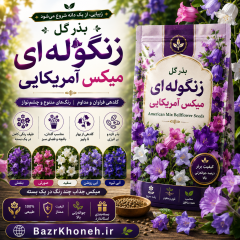 بذر گل زنگوله ای رنگارنگ آمریکایی