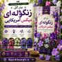 بذر گل زنگوله ای رنگارنگ آمریکایی