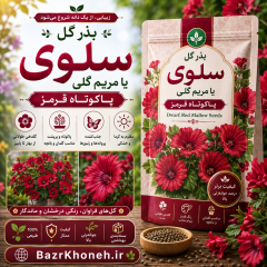 بذر گل سلوی یا مریم گلی پاکوتاه قرمز