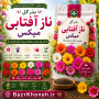 بذر گل ناز آفتابی الوان