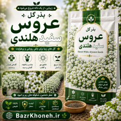 بذر گل عروس سفید هلندی ارگانیک