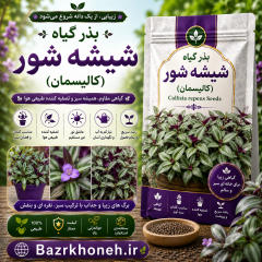 بذر گیاه زیبای شیشه شور یا بطری شور (کالیسمان)