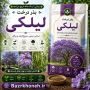 بذر درخت لیلکی
