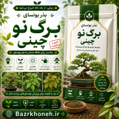 بذر بونسای برگ نو چینی