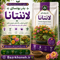 بذر بونسای لانتانا