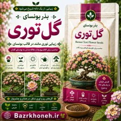 بذر بونسای گل توری