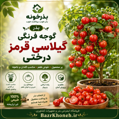 بذر گوجه فرنگی گیلاسی قرمز درختی اورجینال