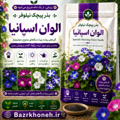 بذر پیچک نیلوفر الوان اسپانیا
