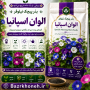 بذر پیچک نیلوفر الوان اسپانیا