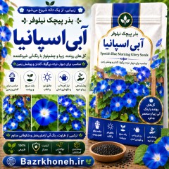 بذر پیچک نیلوفر آبی اسپانیا