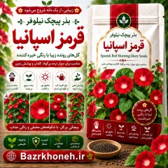 بذر پیچک نیلوفر قرمز اسپانیا