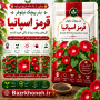 بذر پیچک نیلوفر قرمز اسپانیا