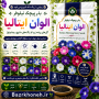 بذر پیچک نیلوفر الوان ایتالیا