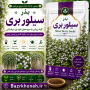 بذر سیلور بری ارگانیک