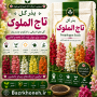 بذر گل تاج الملوک