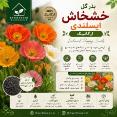بذر گل خشخاش ایسلندی ارگانیک