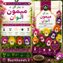 بذر گل میمون الوان