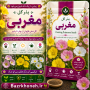 بذر گل مغربی