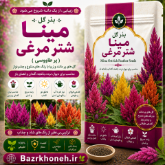 بذر گل مینا شتر مرغی