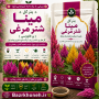 بذر گل مینا شتر مرغی
