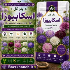 بذر گل اسکابیوزا