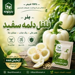 بذر فلفل دلمه سفید