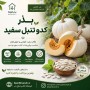 بذر پیچک گل اناری
