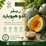 بذر کدو هیوبارد