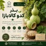 بذر کدو کالابازا
