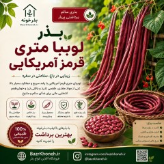 بذر لوبیا متری قرمز امریکایی