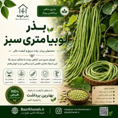 بذرلوبیا متری سبز