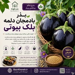 بذر بادمجان دلمه بلک بیوتی