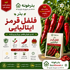 بذر فلفل قرمز ایتالیایی