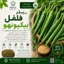 بذر فلفل بیکیونهو