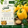 بذر فلفل کاپی زرد