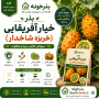 بذر خیار آفریقایی (خربزه شاخدار)