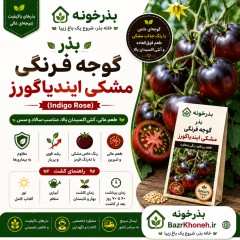بذر گوجه فرنگی مشکی ایندیاگو رز 10عددی