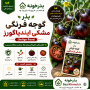 بذر گوجه فرنگی مشکی ایندیاگو رز 10عددی