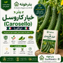 بذر خیار کاروسل ایتالیا