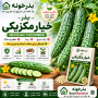 بذر خیار مکزیکی