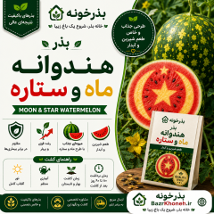 بذر هندوانه ماه و ستاره
