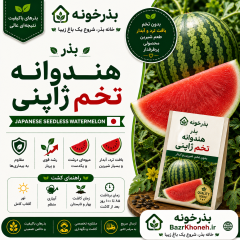بذر هنداونه تخم ژاپنی