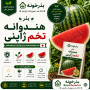 بذر هنداونه تخم ژاپنی