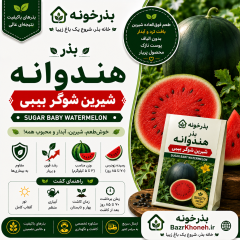 بذر هندوانه  شیرین شوگر بیبی